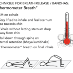 Thermometer exercise