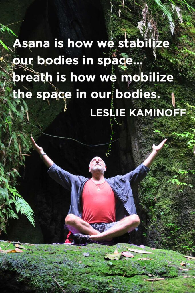 Asana is how we stabilize our bodies in space…breath is how we mobilize the space in our bodies.